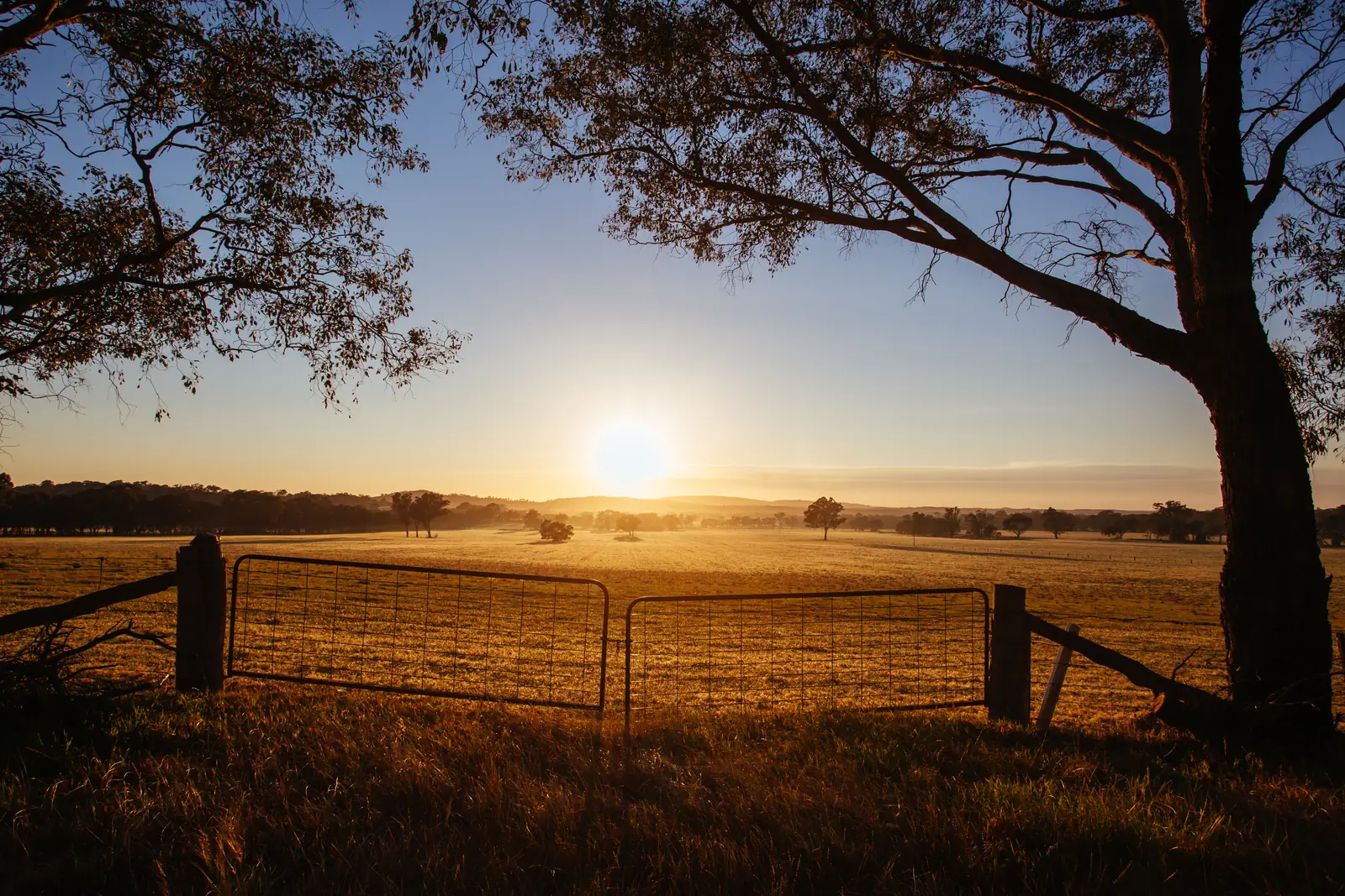 Sunrise over open paddocks beyond a farm gate
