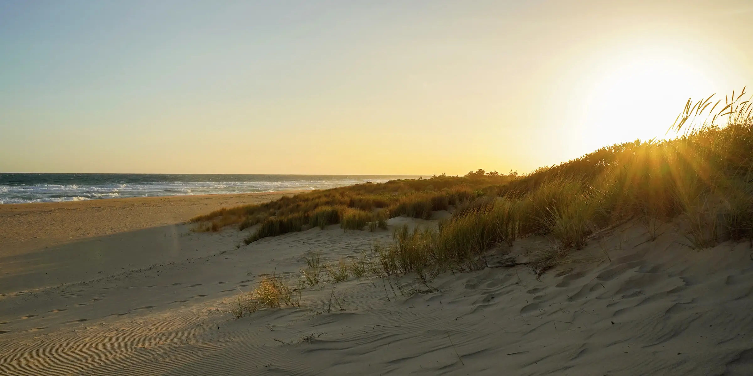Sunlight through dune grass on an empty beach