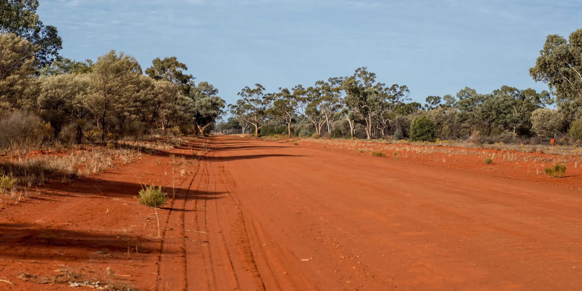 A red dirt road running through the outback towards the horizon