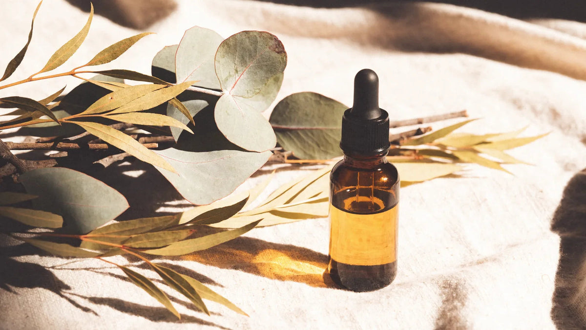 Emu Oil in Australia: What It Is and Where It Comes From