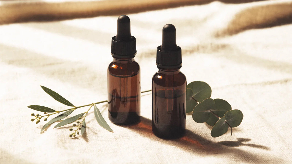 Eucalyptus Oil or Tea Tree Oil: Which One for What