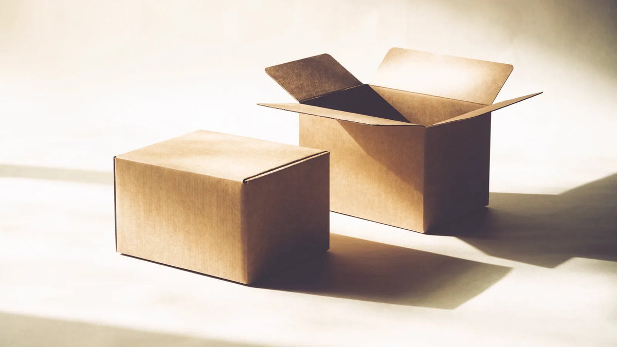 Wholesale or Distribution: Which Model Fits Your Store