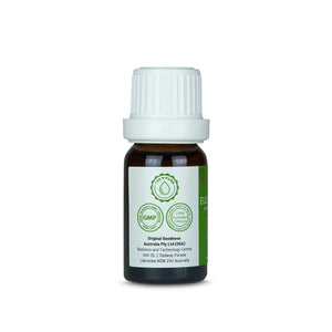 Eucalyptus Oil