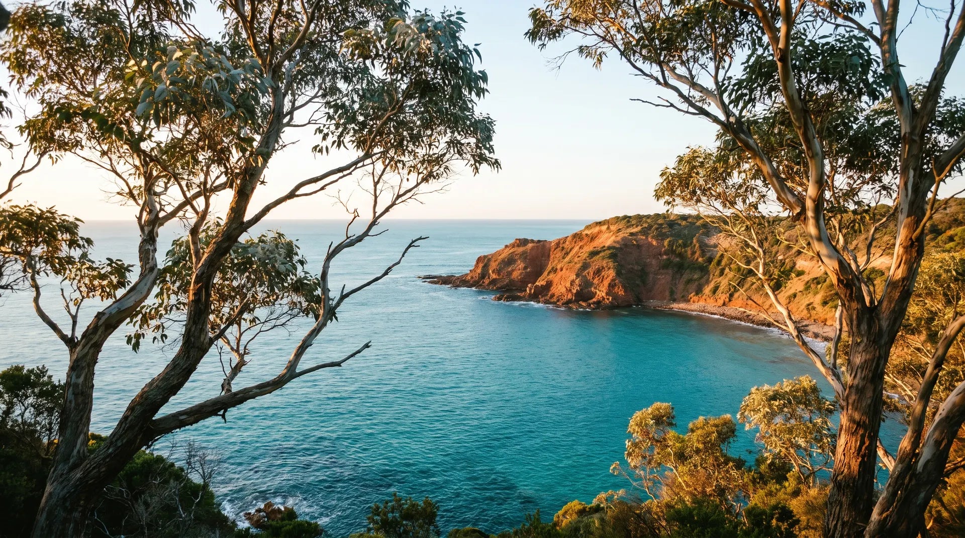Australian landscape at golden hour